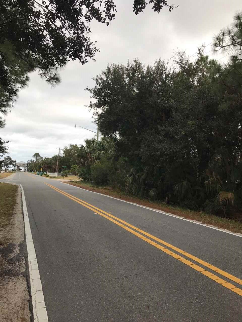 0 Shell Point Rd unit 1 289208, Crawfordville, FL 32327 - photo 6