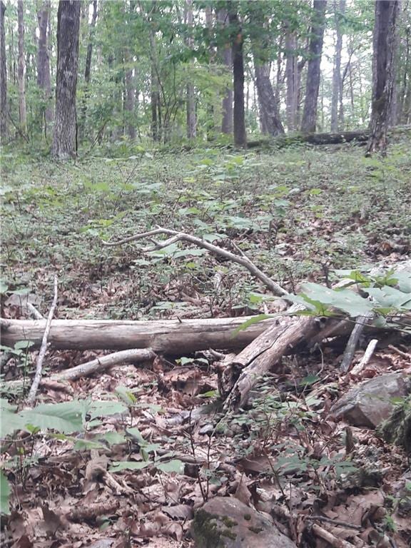 0 Mulberry Cir unit 7660881, Jasper, GA 30143 - photo 4