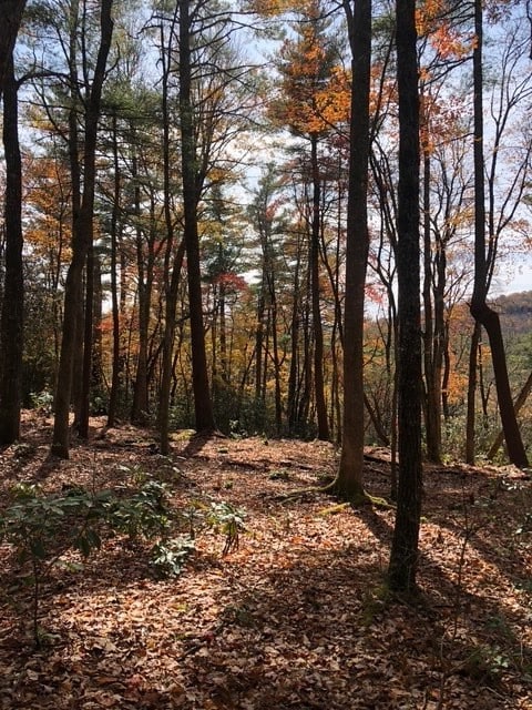 111 Uplands Rd, Cashiers, NC 28717 - photo 2