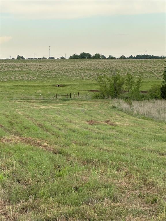 View of local wilderness with a rural view