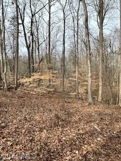 6401 Sable Ln, Greensboro, NC 27406 - photo 7