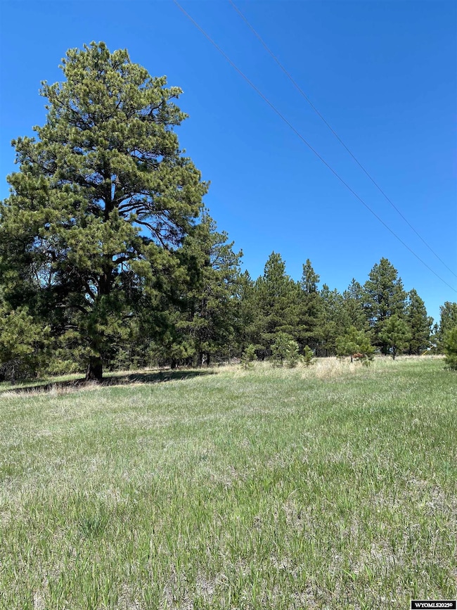 46B Two Pipe Trail, Sundance, WY 82729 - photo 3