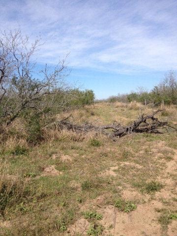 unlisted-address, Edinburg, TX 78539 - photo 3