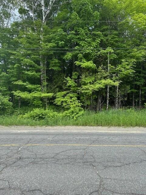 3-3-A Avenue Rd, Corinth, ME 04427 - photo 3