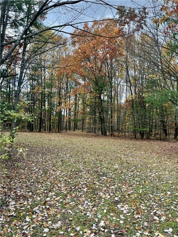 181 Nelson Rd, Ithaca, NY 14850 - photo 4