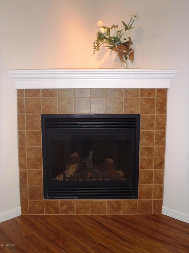 Fire Place