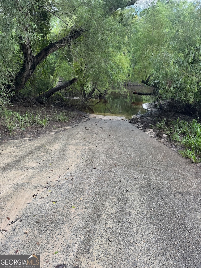 LOTS 91,92,93 & Charles Spikes Rd, Reidsville, GA 30436 - photo 2