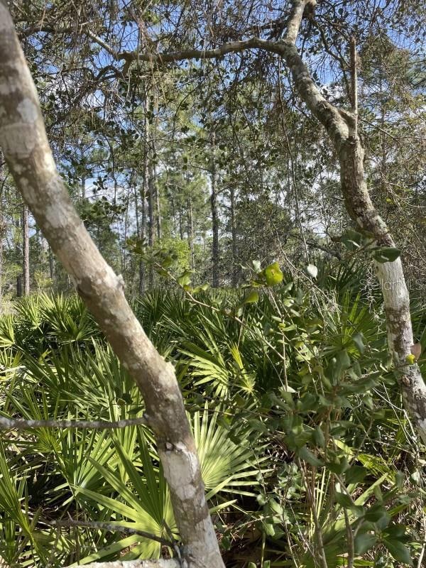 32 Fyfe Ave, Debary, FL 32713 - photo 3