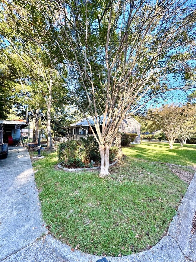 304 Hill St, Dothan, AL 36301 - photo 7