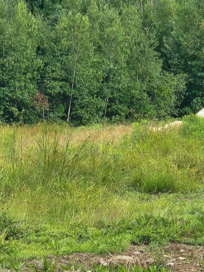 LOT 3 Cross Rd, Antrim, NH 03440 - photo 3