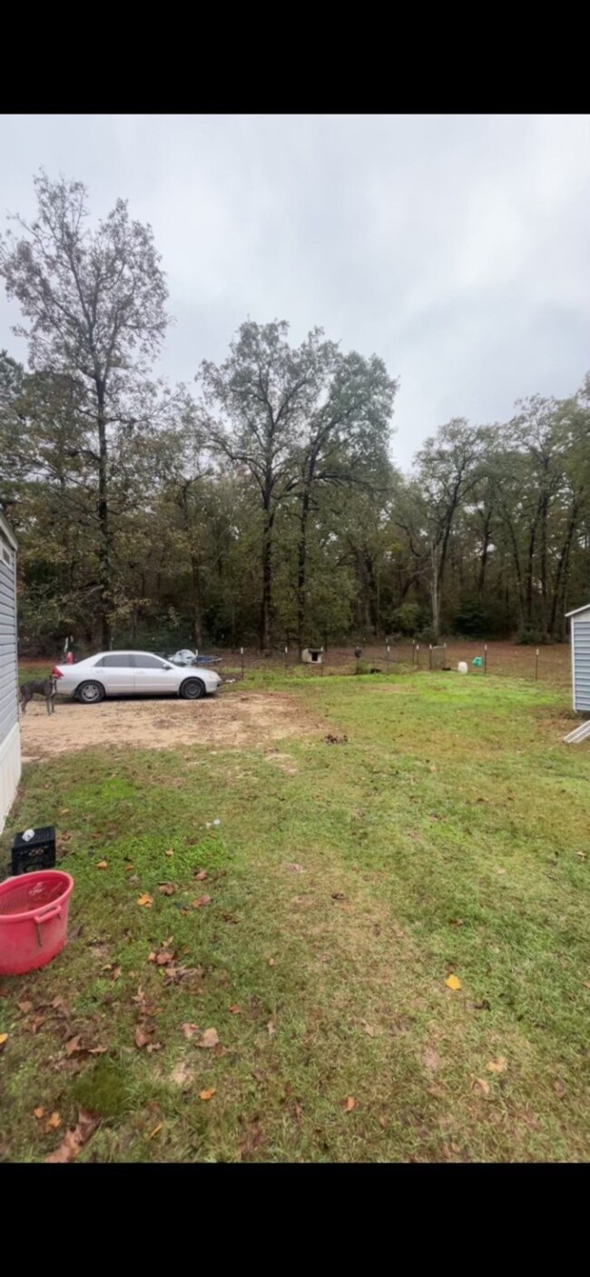 305 Thomas Ln, Trinity, TX 75862 - photo 6