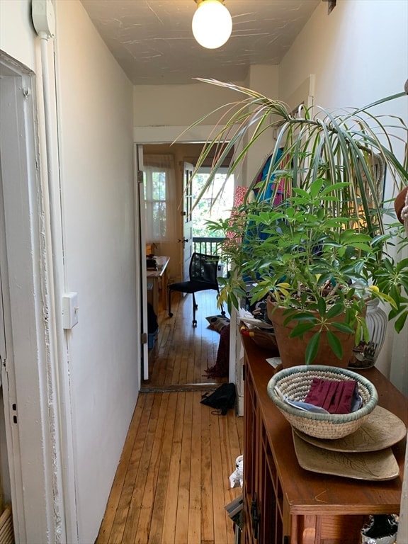 14 Evergreen Square unit 3, Somerville, MA 02143 - photo 5