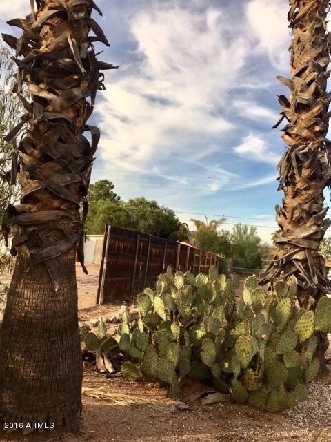 A TRUE ARIZONA NATURE LOT