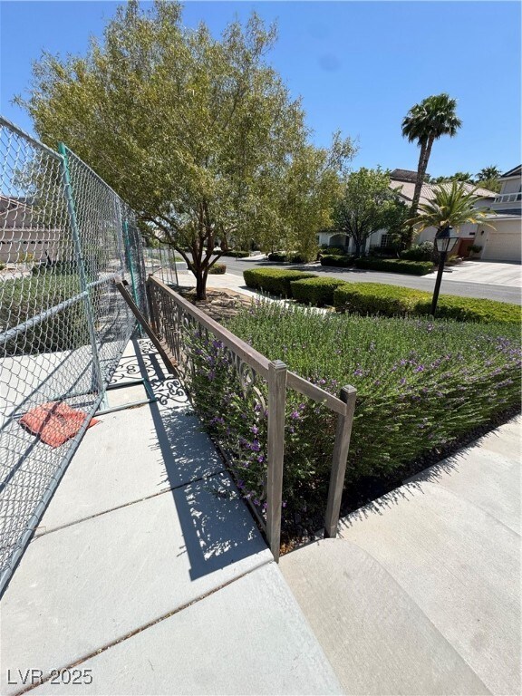 Front Yard
