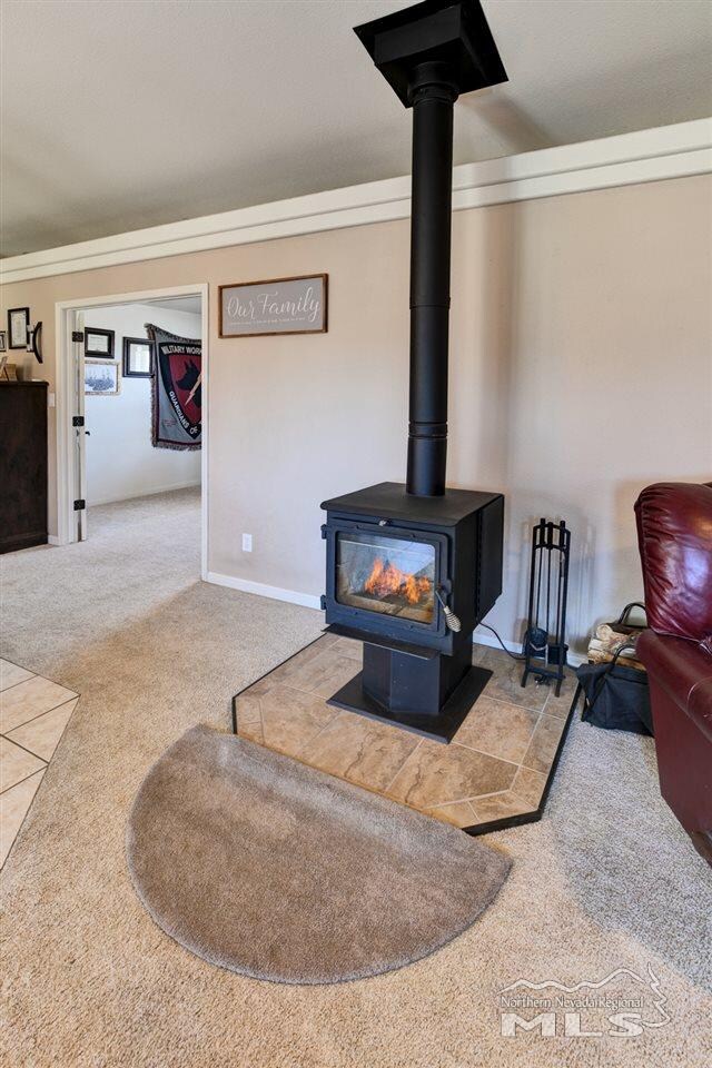4215 Hawk Dr unit NV, Fallon, NV 89406 - photo 7