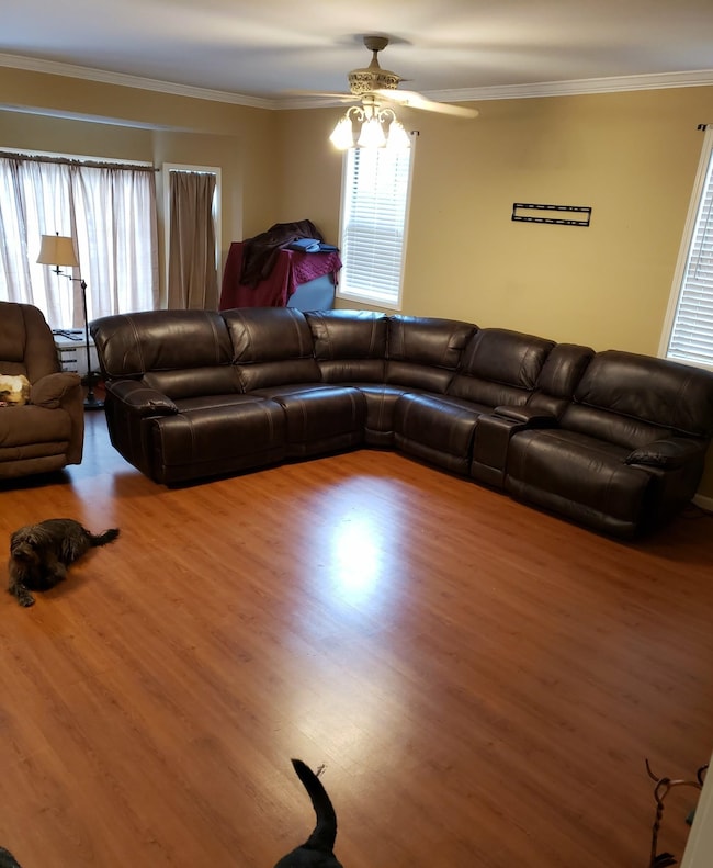 3781 Hwy 59, Spruce Pine, AL 35585 - photo 3