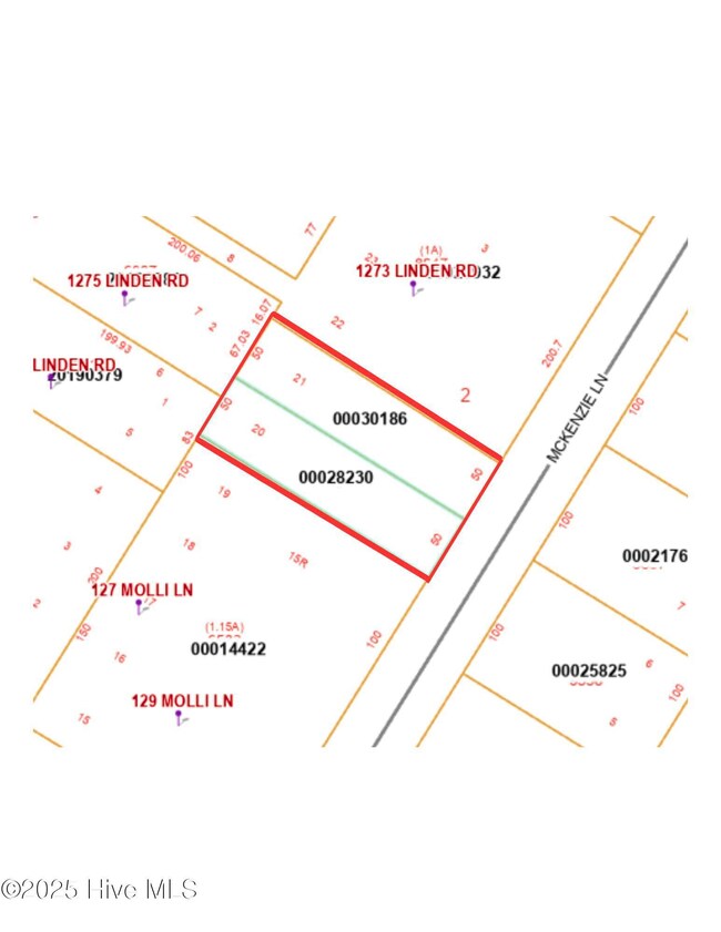 00 Mckenzie Ln, Aberdeen, NC 28315 - photo 4