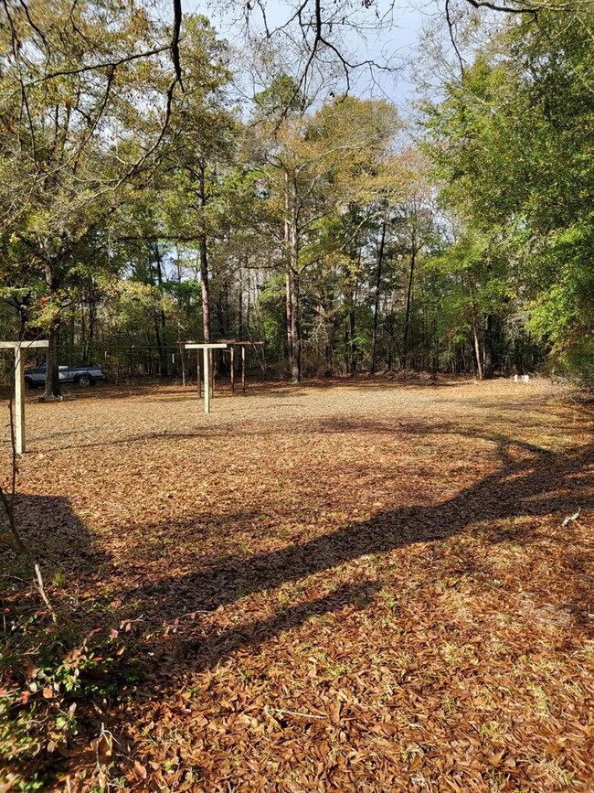 back yard