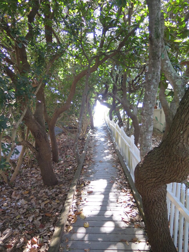 Beach Access between Azalea & Camellia