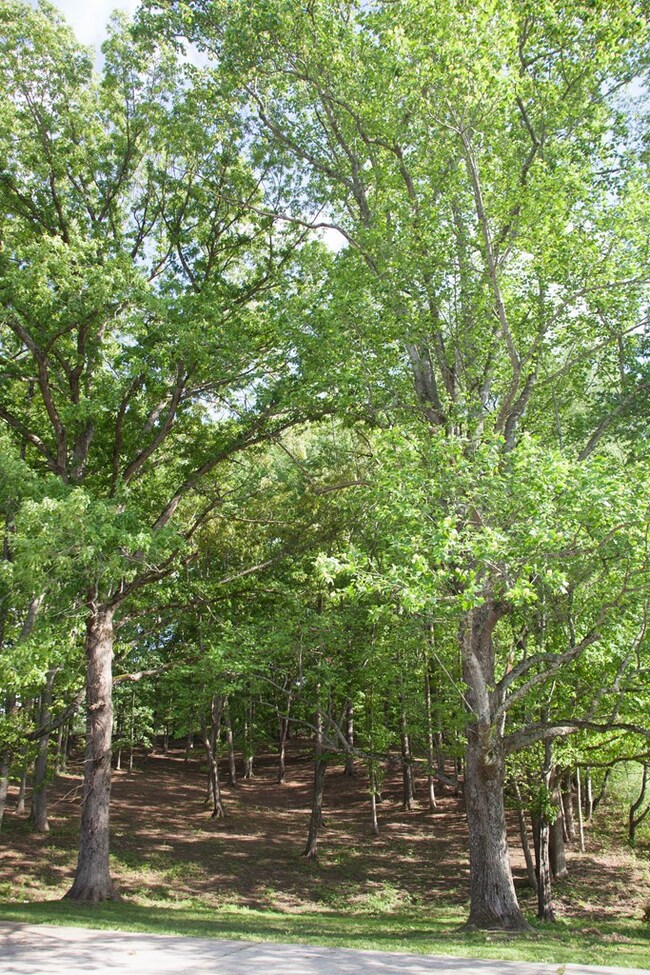 150 Jeremiah Rd, Cookeville, TN 38506 - photo 7