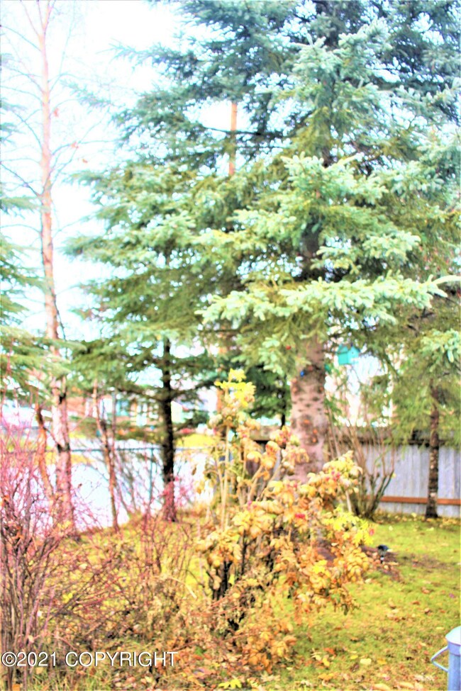 Front Yard