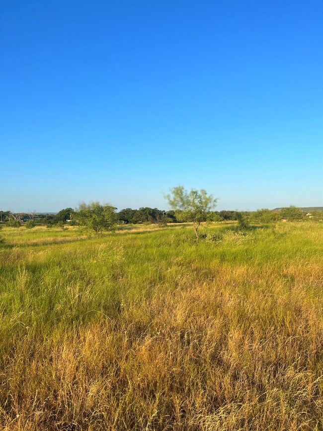 000 W Live Oak St, Fredericksburg, TX 78624 - photo 4