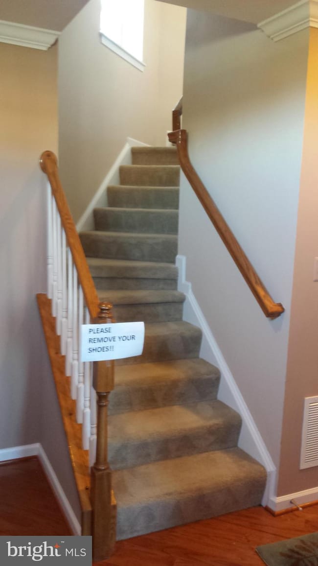 42949 Edgewater St, Chantilly, VA 20152 - photo 6