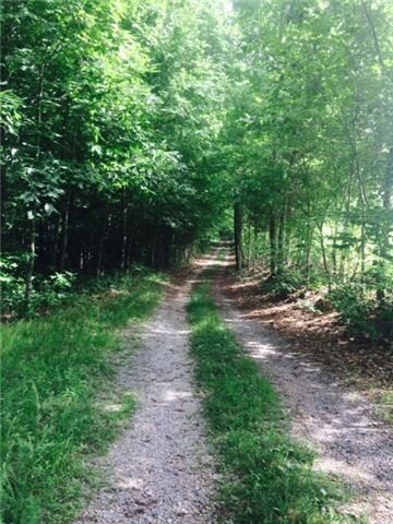 211 Hanna Rd, Prospect, TN 38477 - photo 2