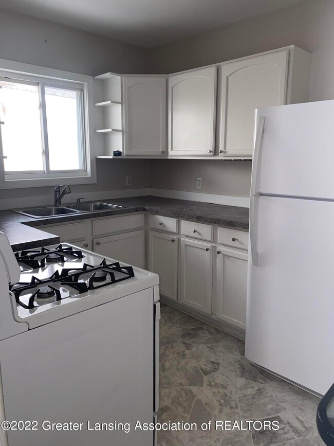 1017 S Holmes St, Lansing, MI 48912 - photo 2