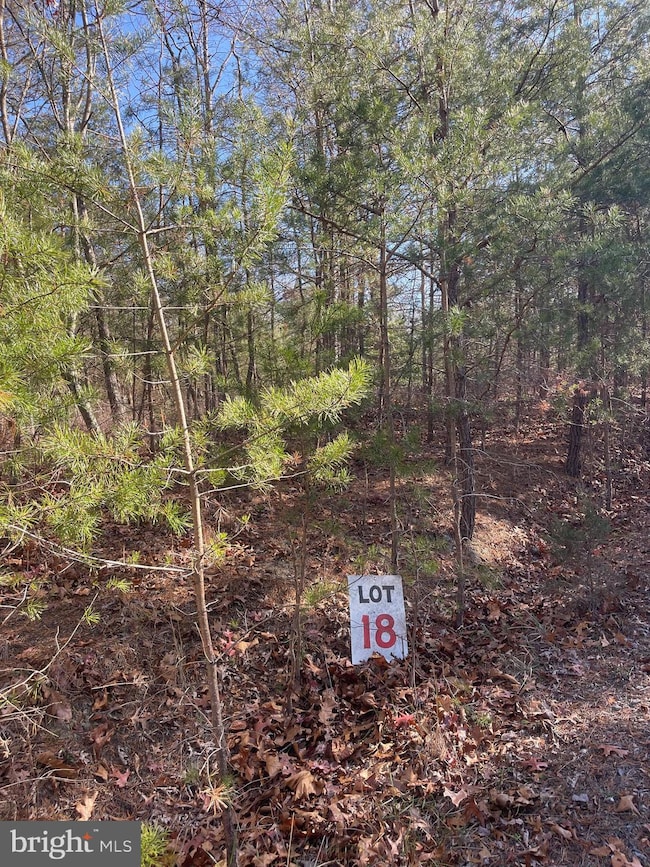 0 Hannah Ct unit WVHS2007062, Yellow Spring, WV 26865 - photo 6