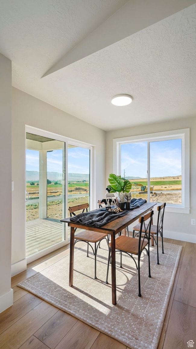 Dining area with baseboards and light wood-type flooring