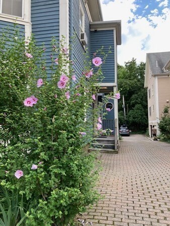 28 Mount Auburn St unit 1, Cambridge, MA 02138 - photo 2