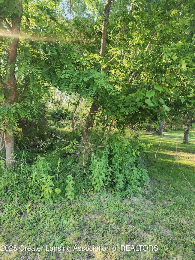 0 V/L W Sheridan Rd, Lansing, MI 48906 - photo 6