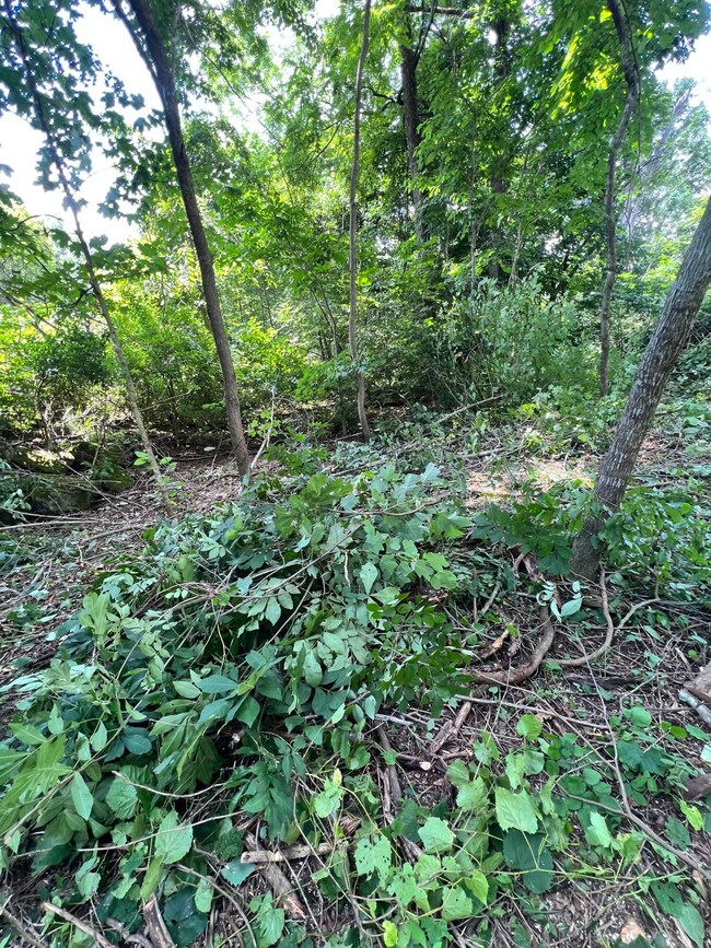 908 Stone Gate Dr, Burnside, KY 42519 - photo 6