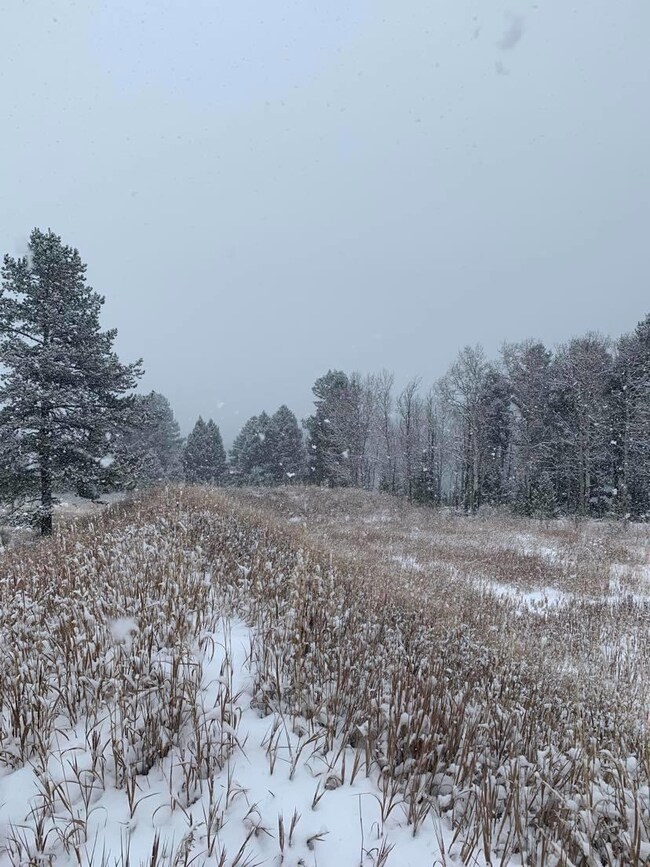 Lot 19a-1 Ousel Falls Rd, Big Sky, MT 59730 - photo 2