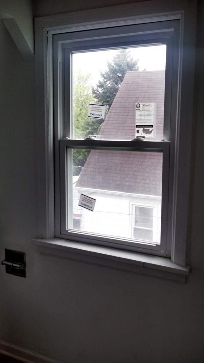 new windows c;hampionj