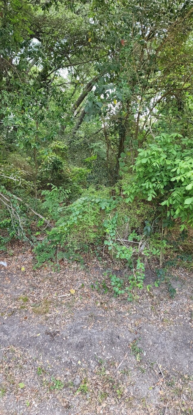 0 Woody-Off unit 9696803, Brookside, TX 77581 - photo 4