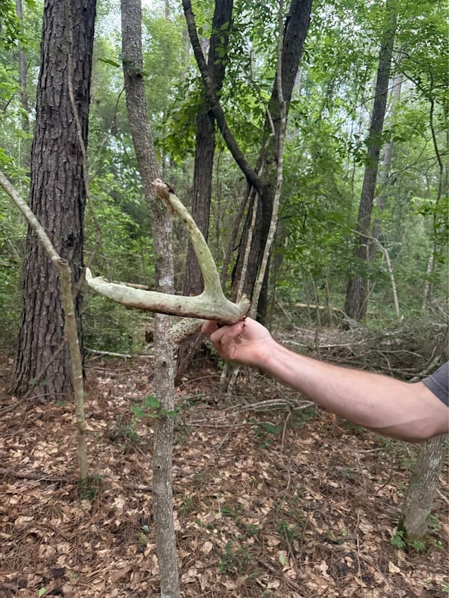 Hwy 1058 unit LotWP003, Kentwood, LA 70444 - photo 6