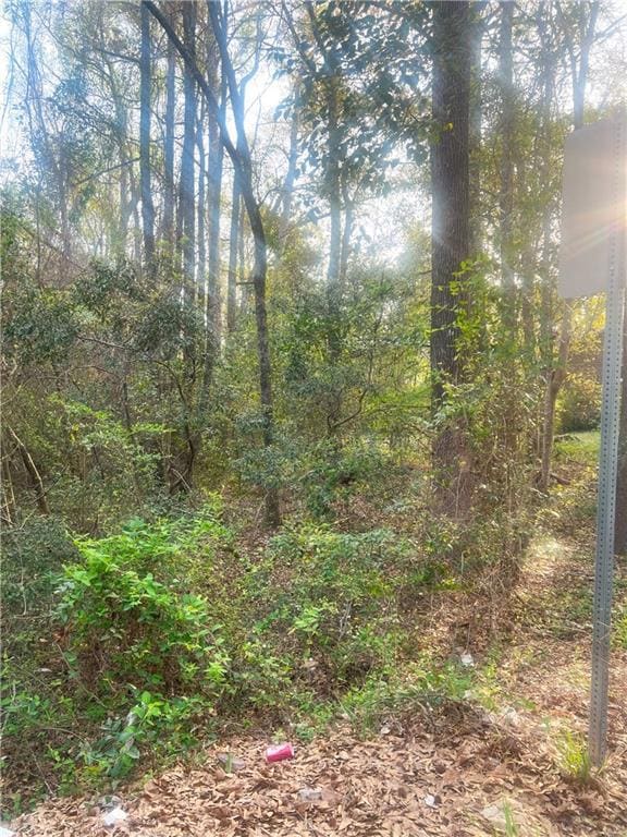 4th Shadowridge Ln, Phenix City, AL 36869 - photo 2