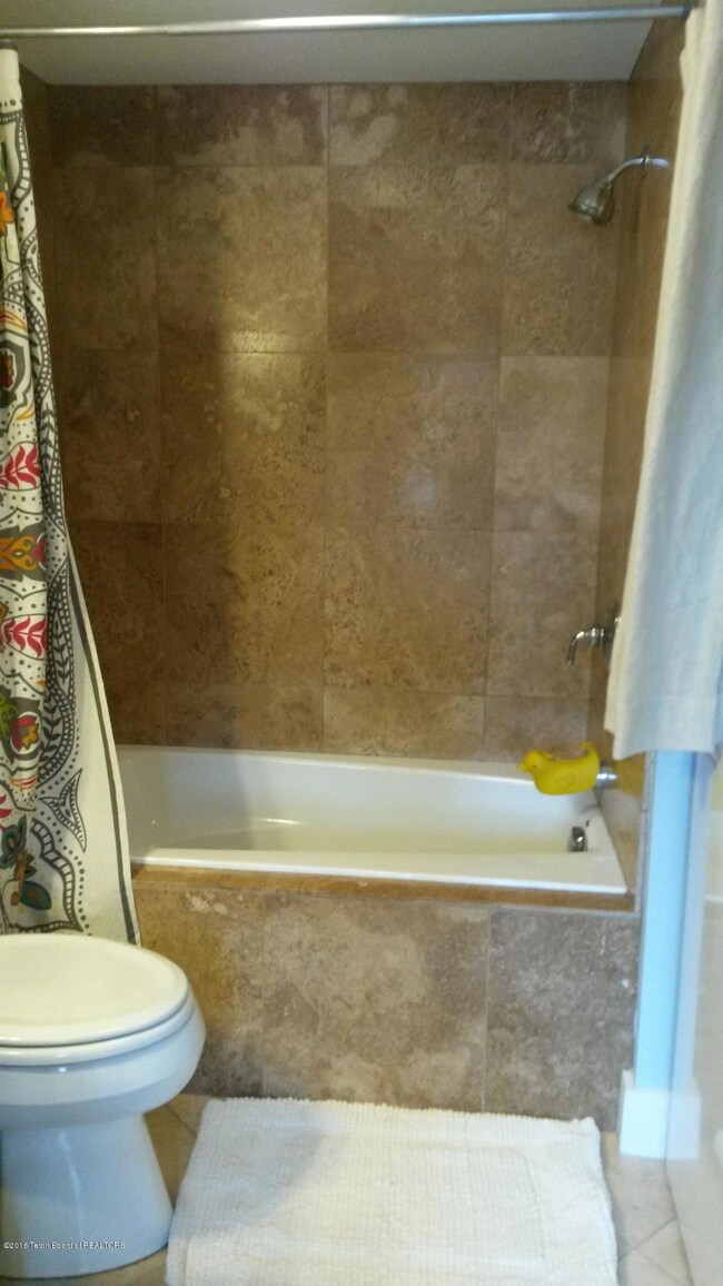 guest bath 2