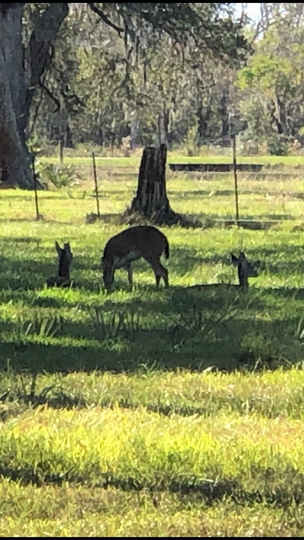 0 County Road 628 unit 3679825, Brazoria, TX 77422 - photo 6