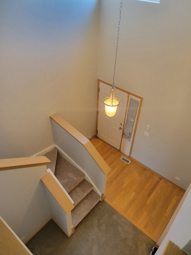 21207 Gray Hawk Dr unit 2544, Matteson, IL 60443 - photo 4