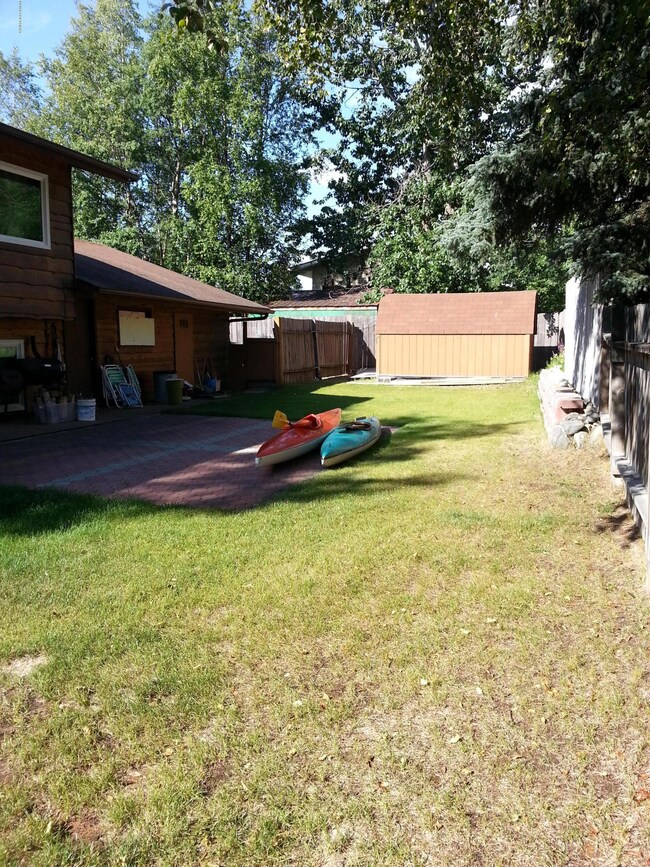 back yard2