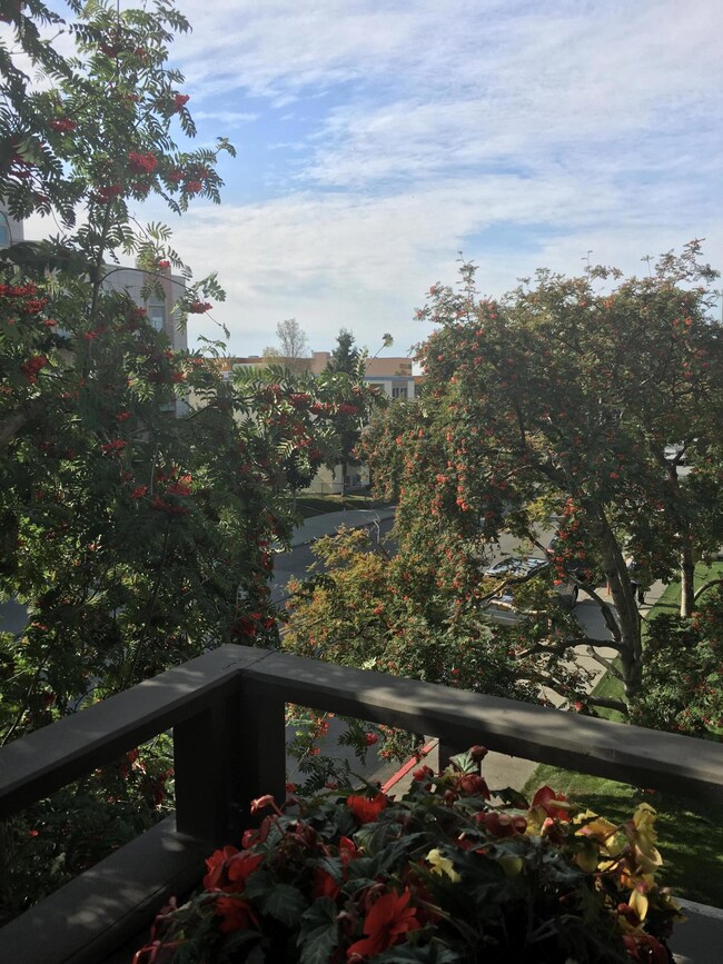Beautiful views