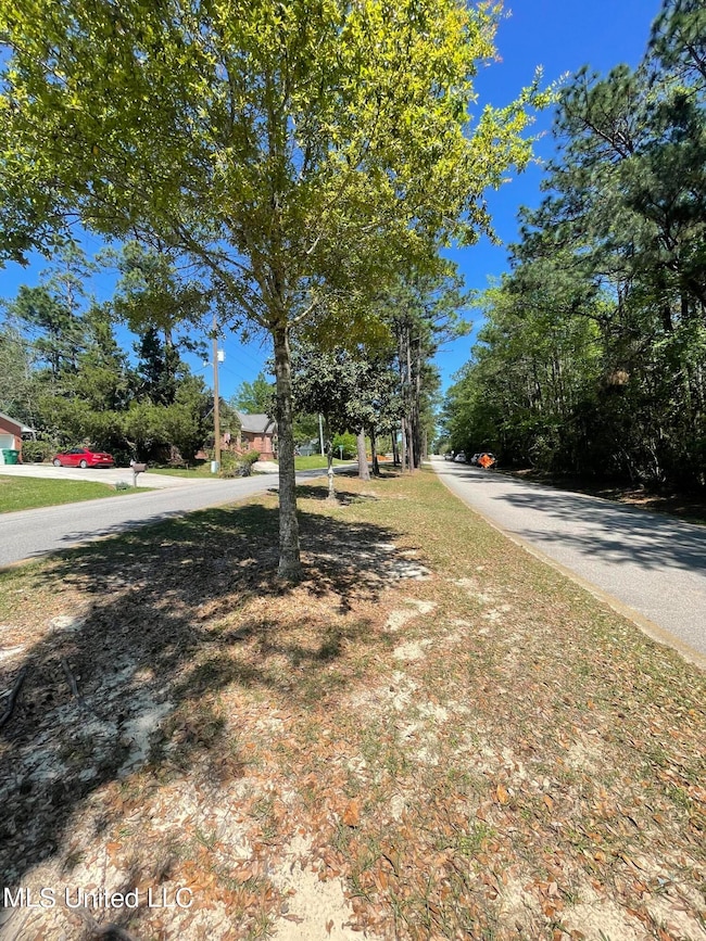 W Street View
