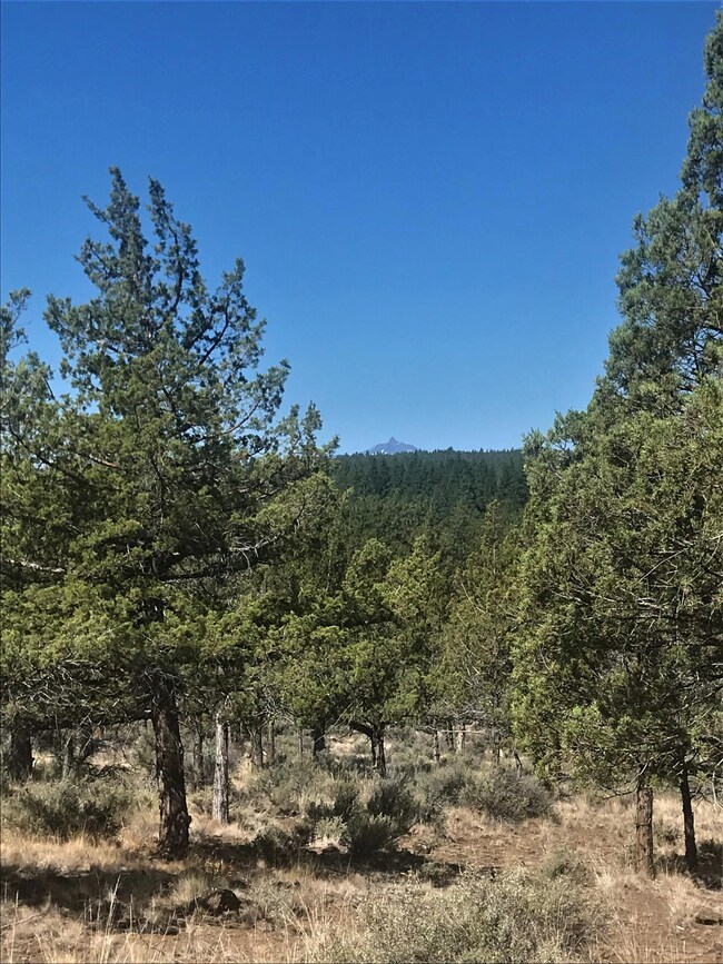 17665 Tinker Bell Rd, Sisters, OR 97759 - photo 7