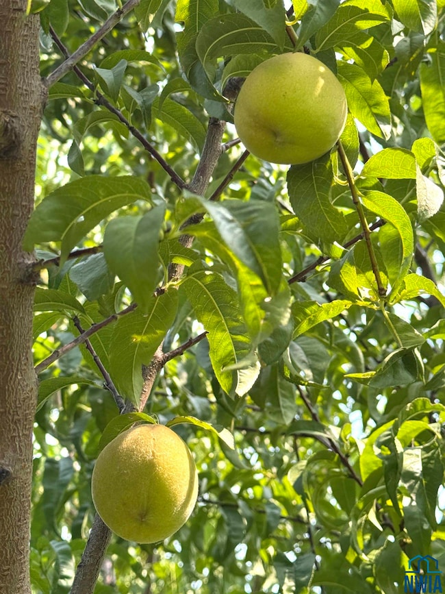 22954 Park Loop, Onawa, IA 51040 - photo 6