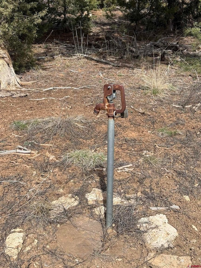 TBD J8 Rd, Mancos, CO 81328 - photo 7