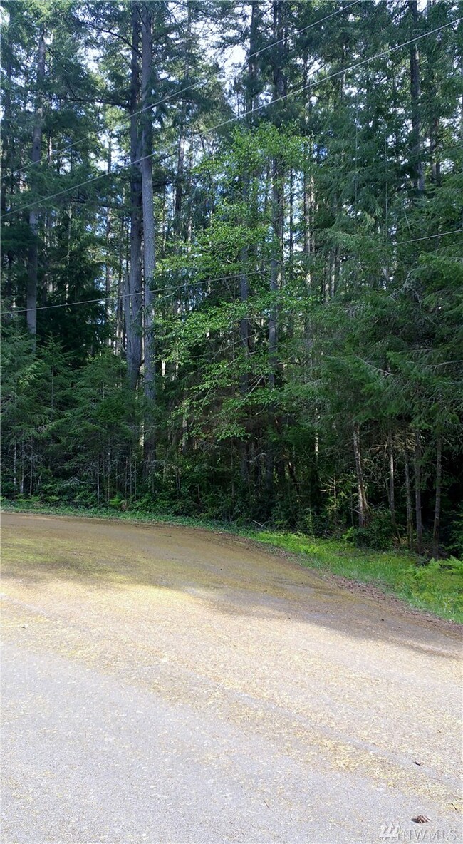 12506 93rd Street Ct unit AI, Anderson Island, WA 98303 - photo 5