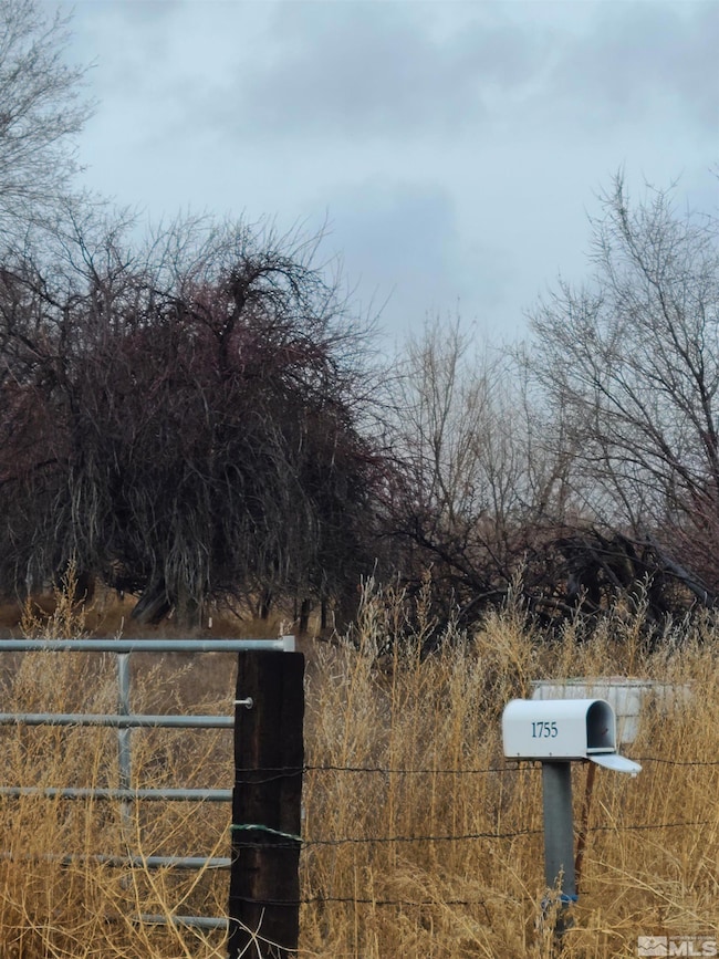 1755 Coleman Rd, Fallon, NV 89406 - photo 2